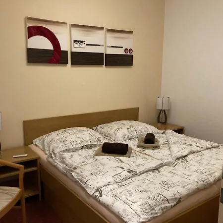 Apartment Apartman Viki *