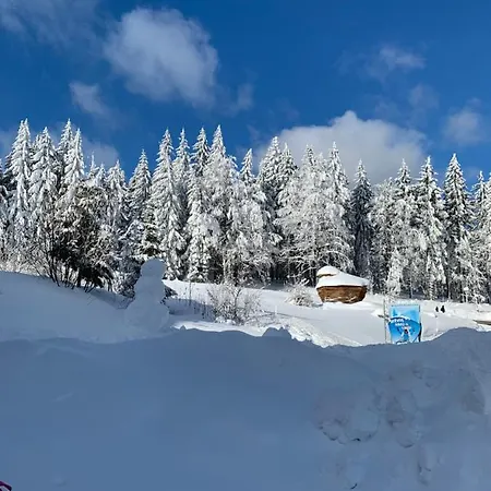 Apartmán Viki Apartamento *