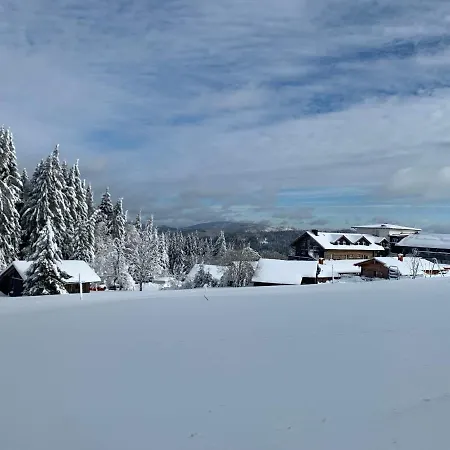 Apartmán Viki